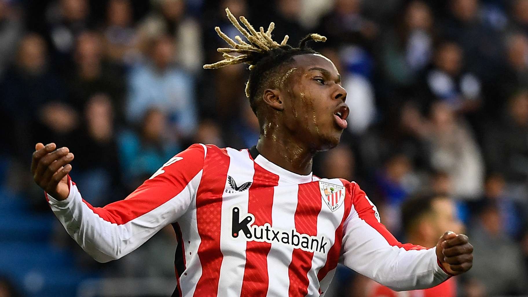 也提升了梅 也提升了梅